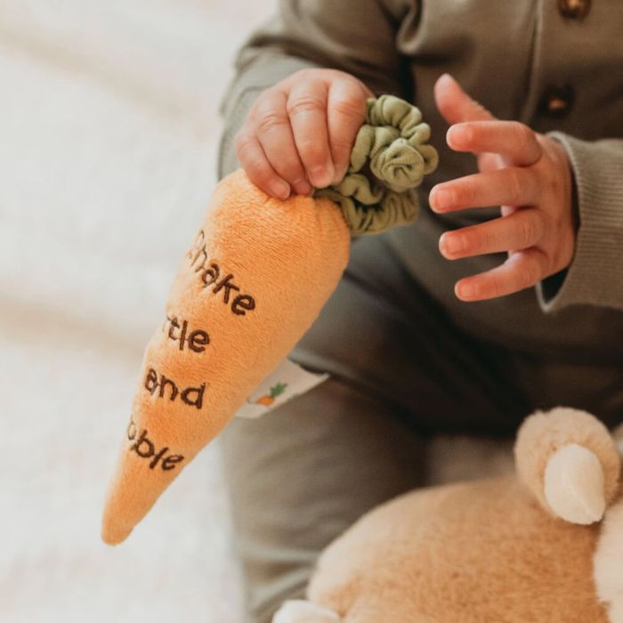 BBTB Rattle Carrot 13cm