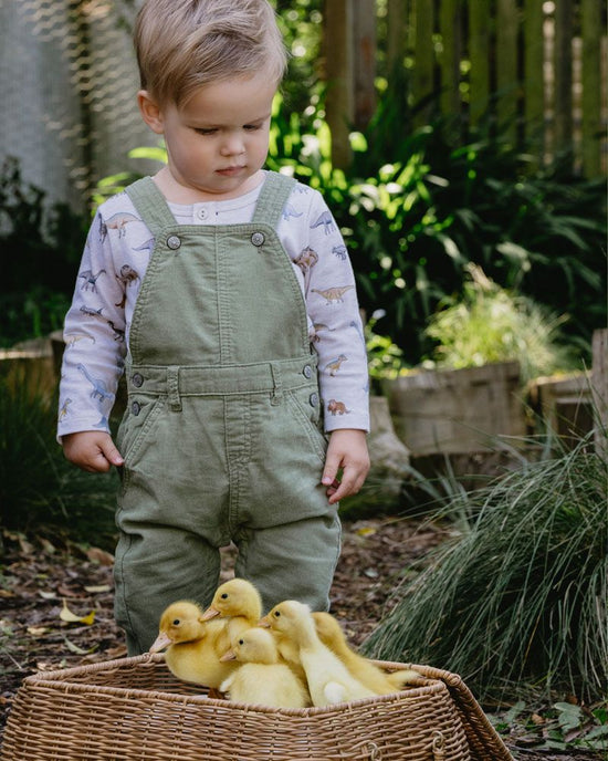 Bebe Isaac Cord Overalls - Sage Green