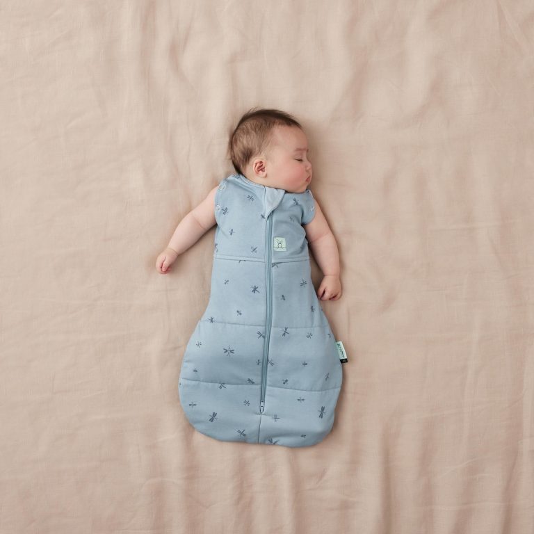 Ergo Pouch Cocoon Swaddle Bag 2.5 TOG - Dragonflies