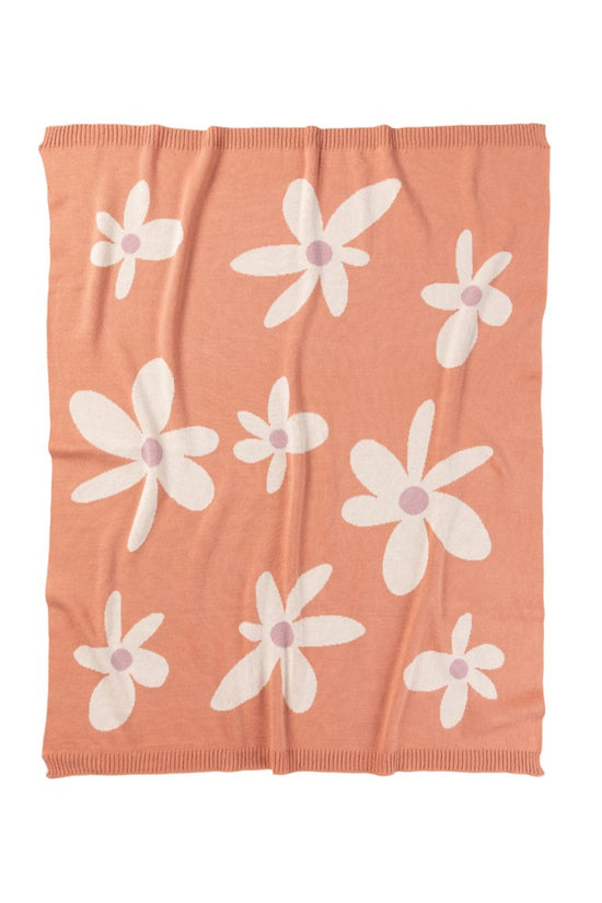 Indus Blanket Daisy