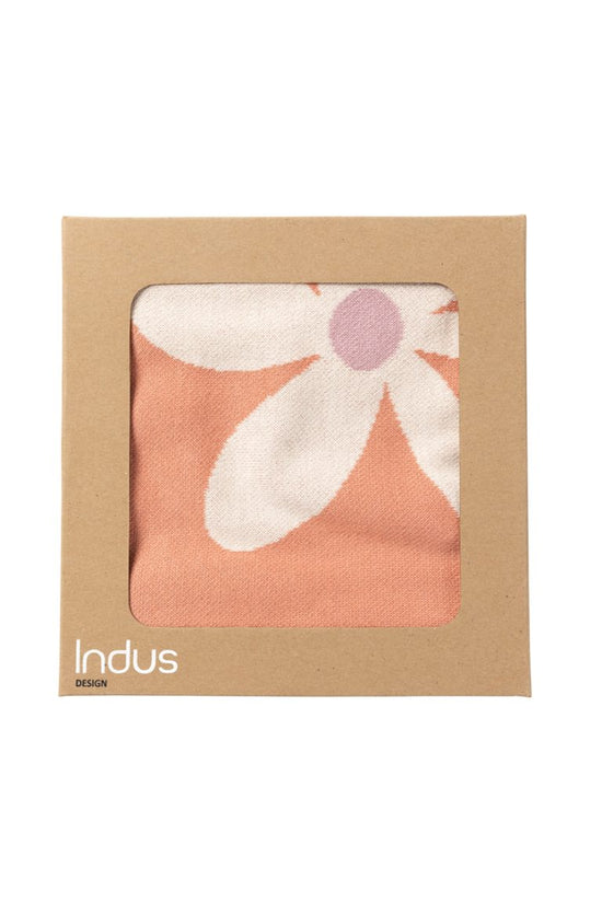 Indus Blanket Daisy