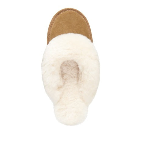 Emu Jolie -  Chestnut