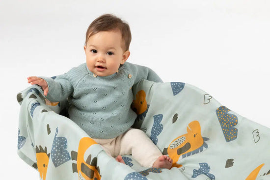 Indus Swaddle Dino