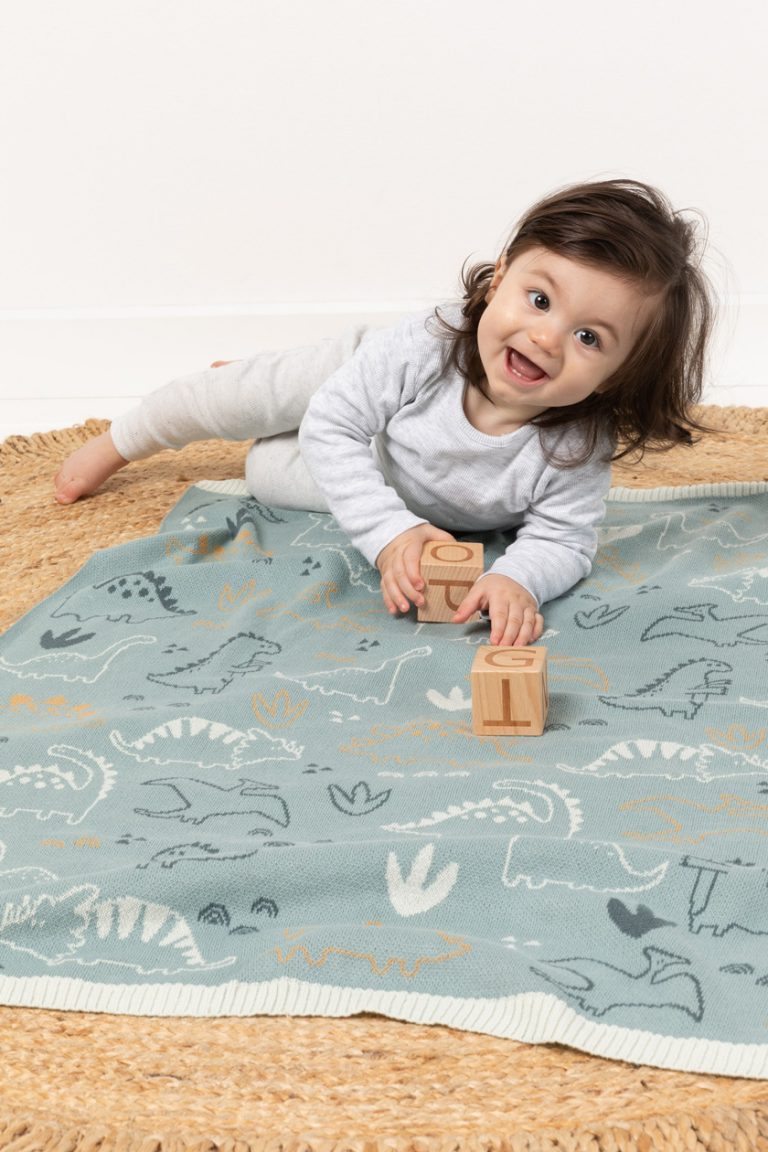 Indus Blanket Jurassic