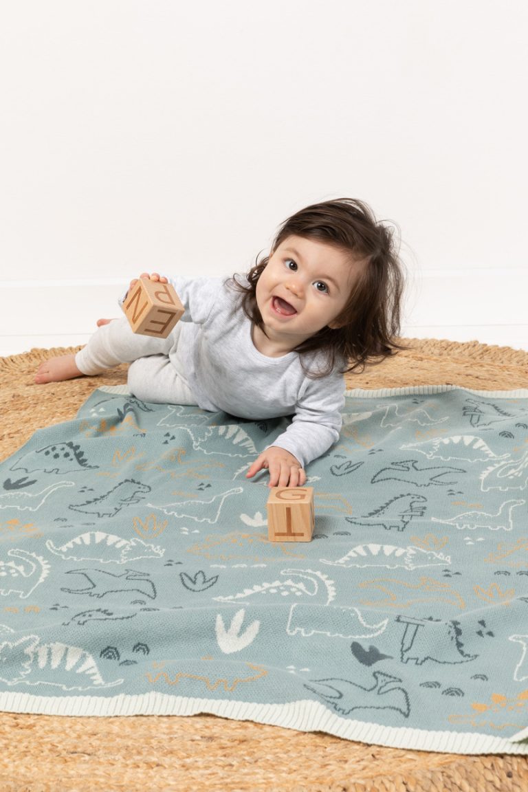 Indus Blanket Jurassic