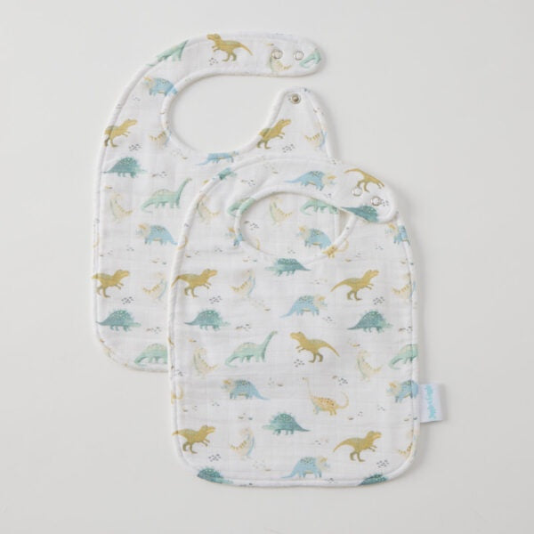 Jiggle & Giggle Dallying Dinosaurs Bib (Set of 2)