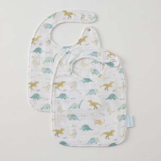 Jiggle & Giggle Dallying Dinosaurs Bib (Set of 2)