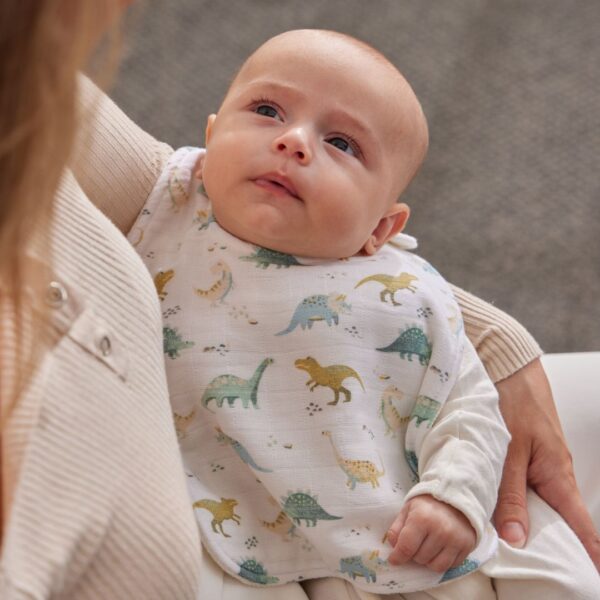 Jiggle & Giggle Dallying Dinosaurs Bib (Set of 2)