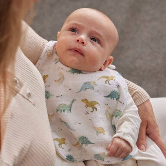 Jiggle & Giggle Dallying Dinosaurs Bib (Set of 2)