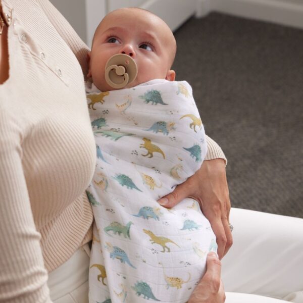Jiggle & Giggle Dallying Dinosaurs Muslin Wrap