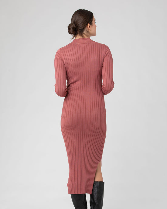 Ripe Nella Rib Nursing Knit Dress - Rouge