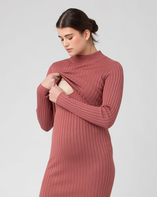 Ripe Nella Rib Nursing Knit Dress - Rouge