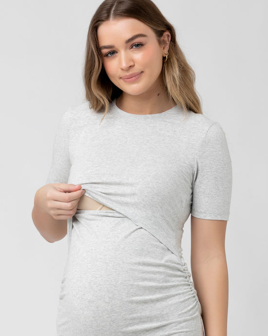 Ripe Organic Nursing Dress - Silver Marle