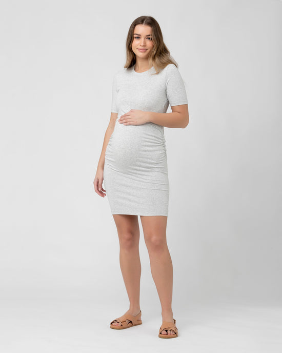 Ripe Organic Nursing Dress - Silver Marle