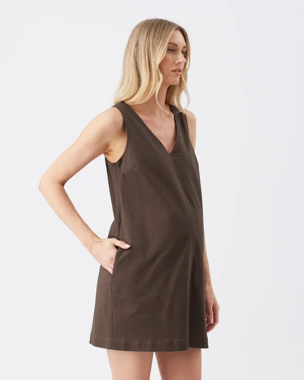 Ripe Cara Shift Dress - Chocolate