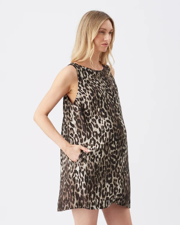 Ripe Kitty Shift Dress - Brown