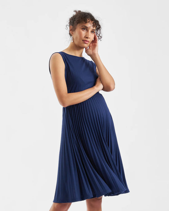 Ripe Knife Pleat Dress - Blueprint