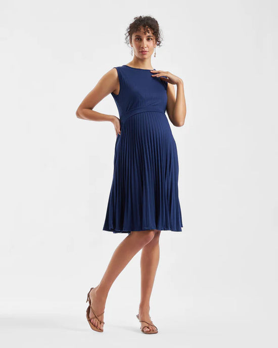 Ripe Knife Pleat Dress - Blueprint