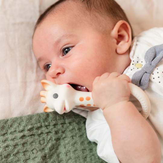 Sophie So Pure Ring Teether