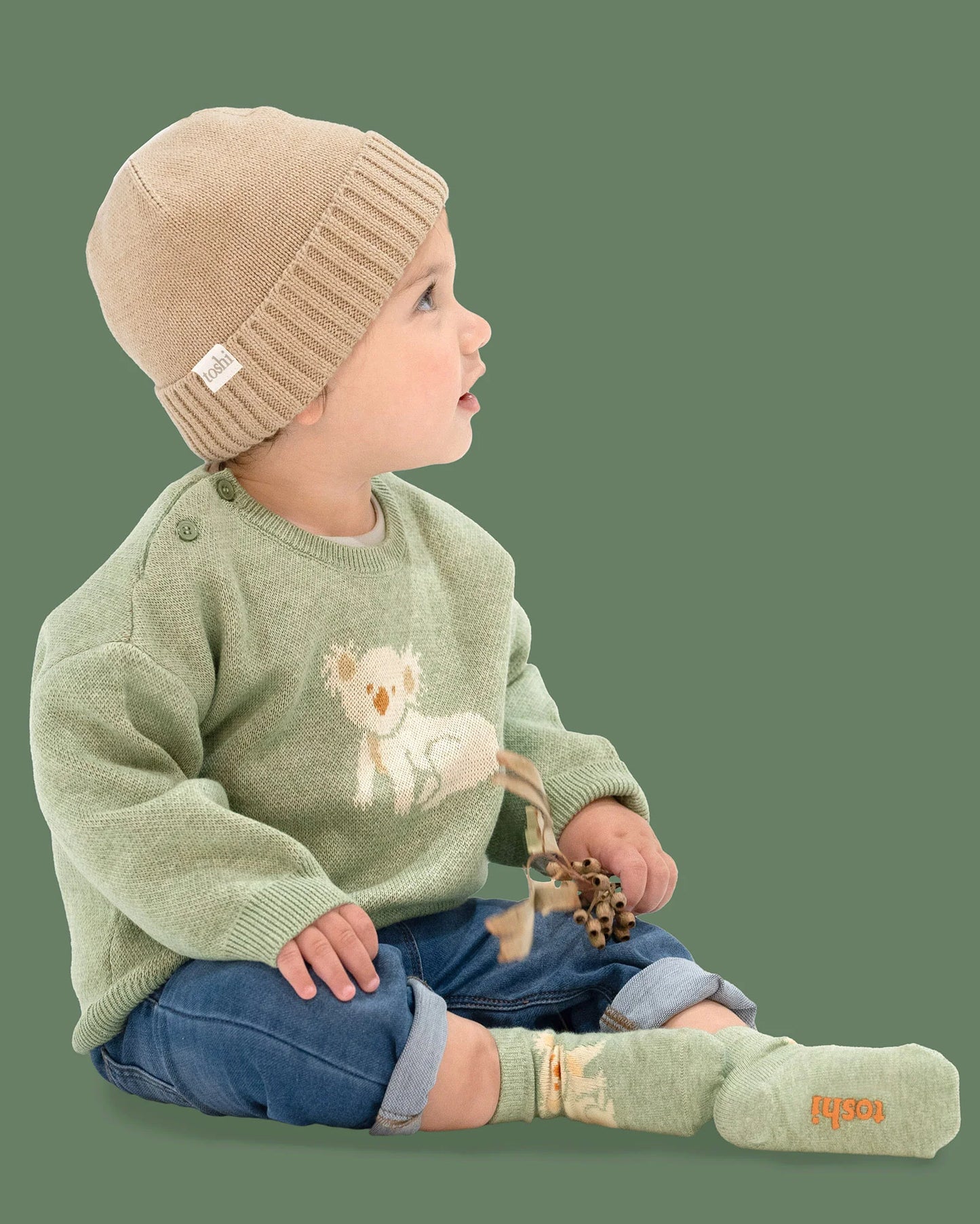 Toshi Organic Pullover Storytime - Koala