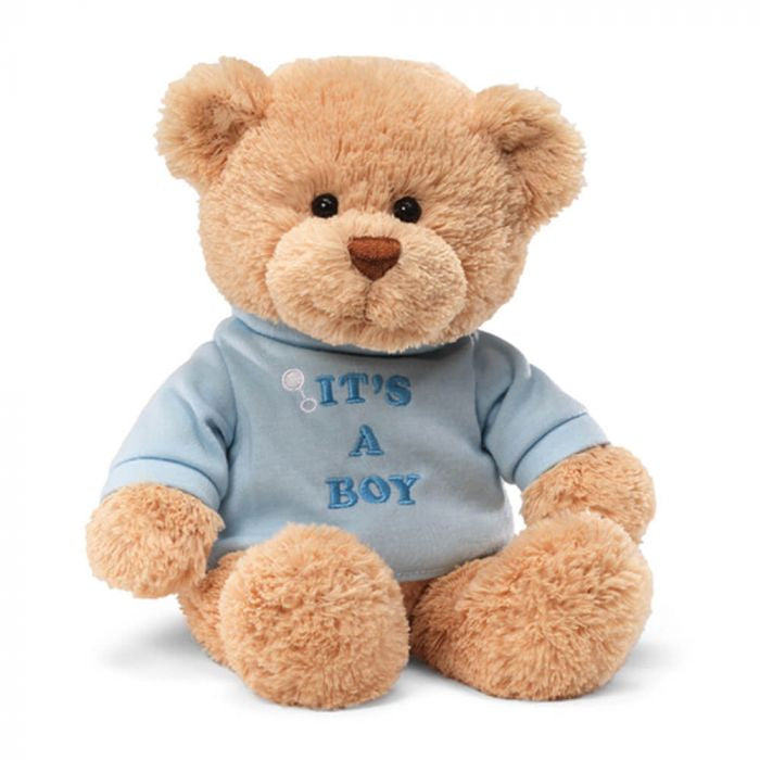 Gund Bear - It's a Boy Blue