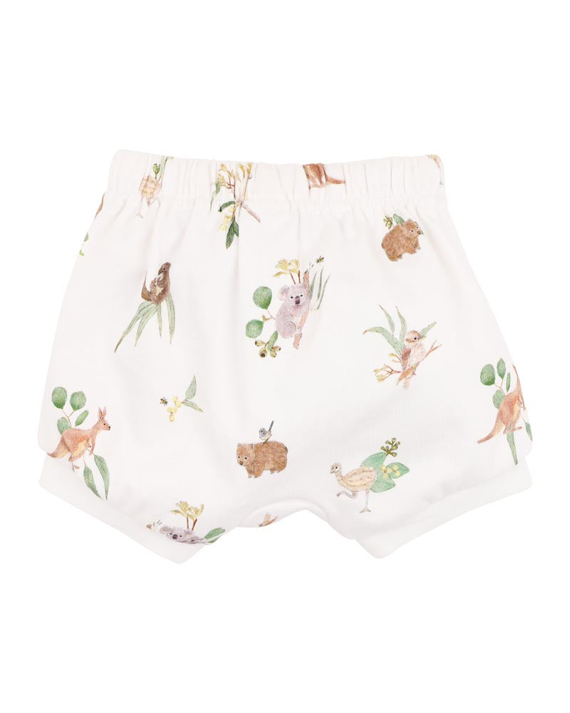 Bebe Australiana Organic Shorts