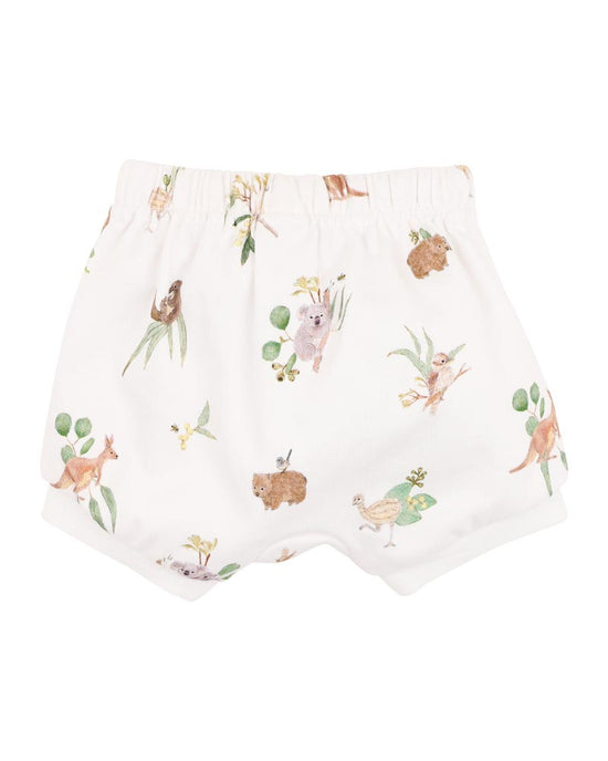 Bebe Australiana Organic Shorts
