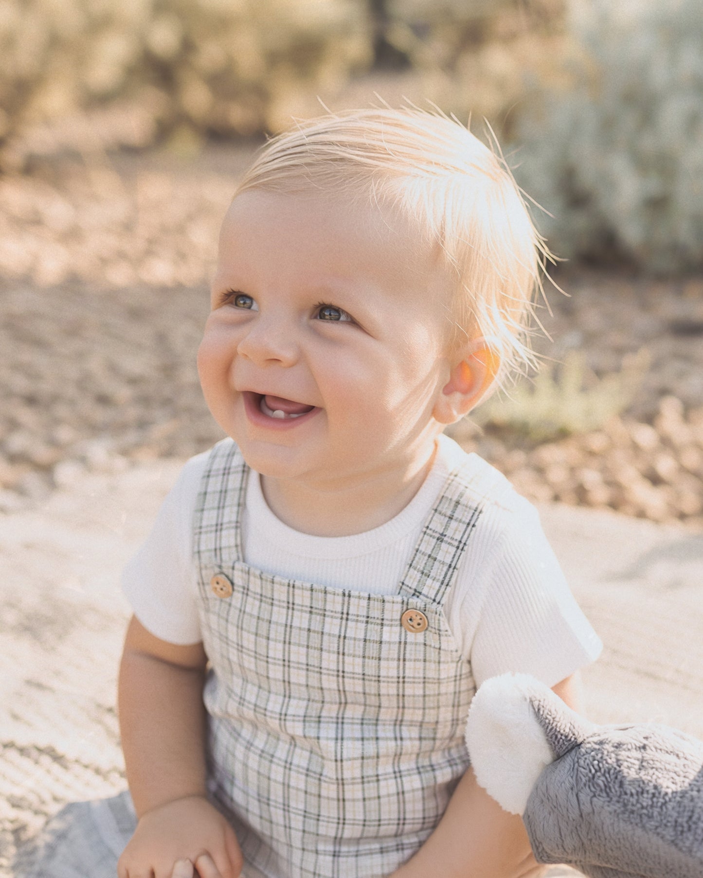 Bebe Taylor Sage Check Bodysuit & Tee Set