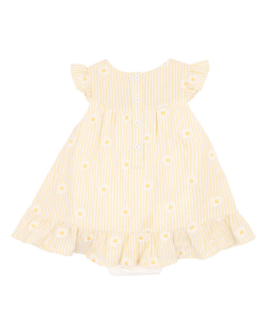 Bebe Tillie Embroidery Daisy Overlay Dress - Lemon Stripe