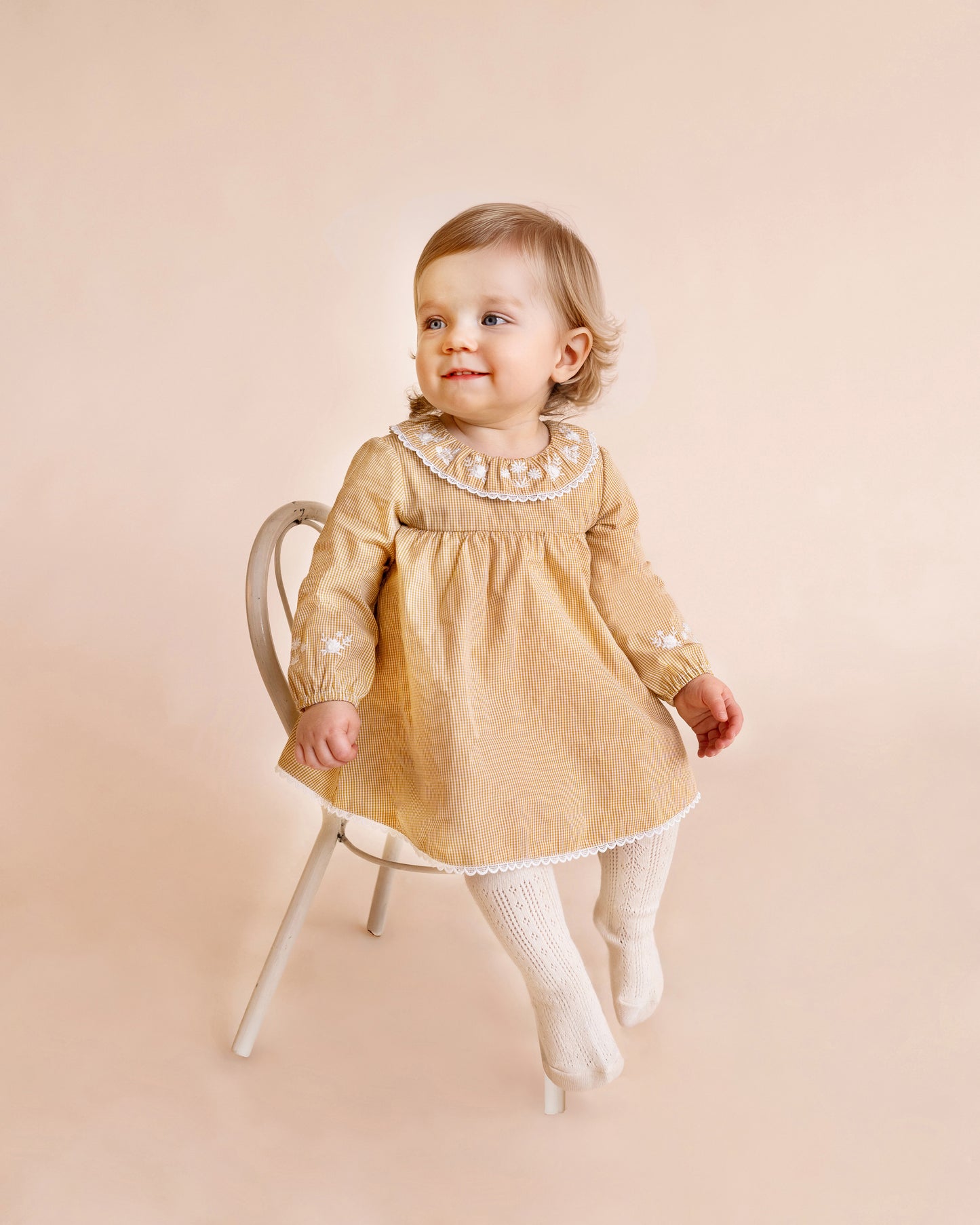 Bebe Winnie Emb Gingham Overlay Dress