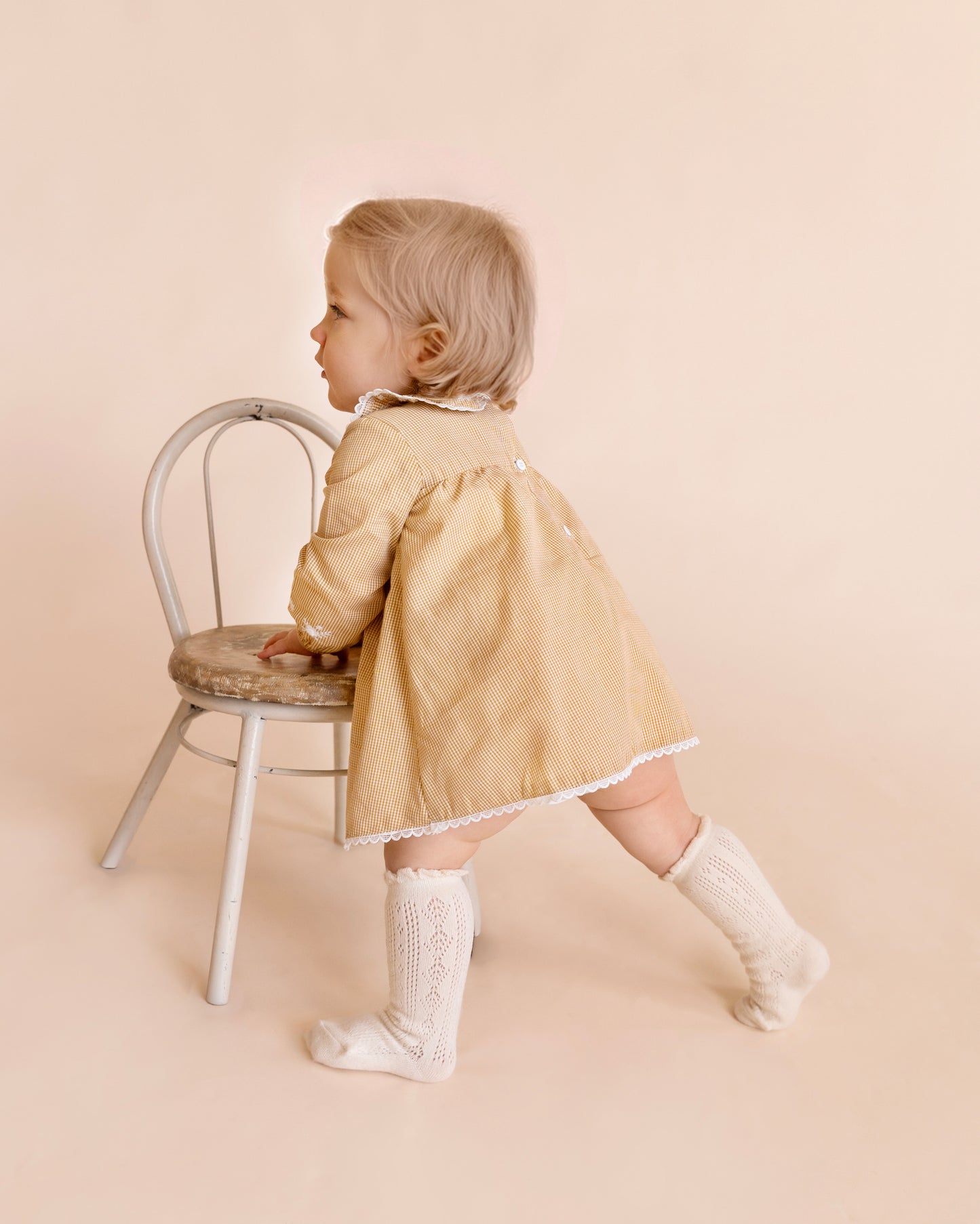 Bebe Winnie Emb Gingham Overlay Dress