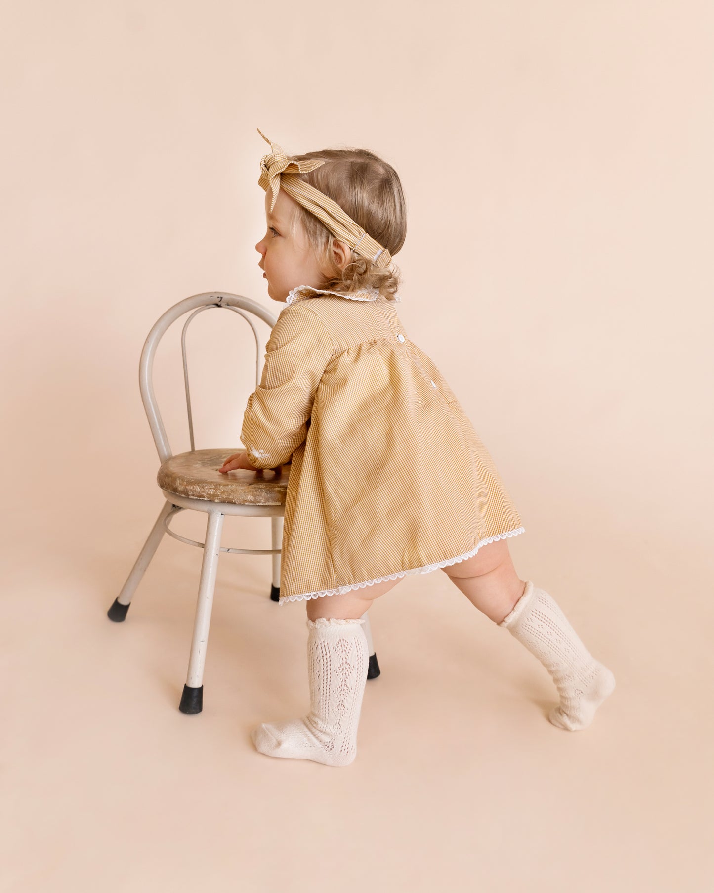 Bebe Winnie Emb Gingham Overlay Dress