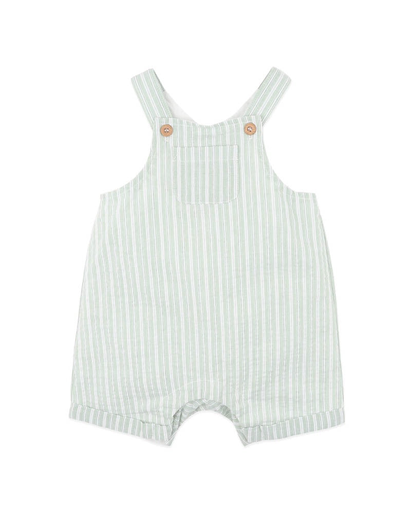 Bebe Evan Green Stripe Overalls