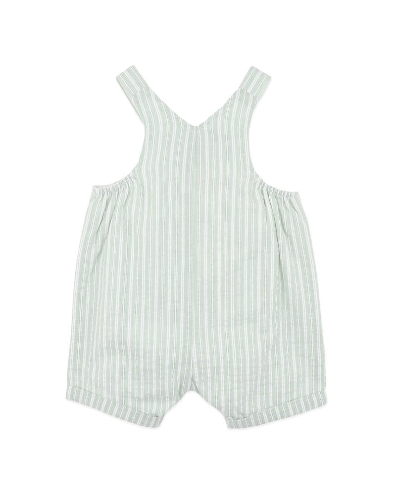 Bebe Evan Green Stripe Overalls