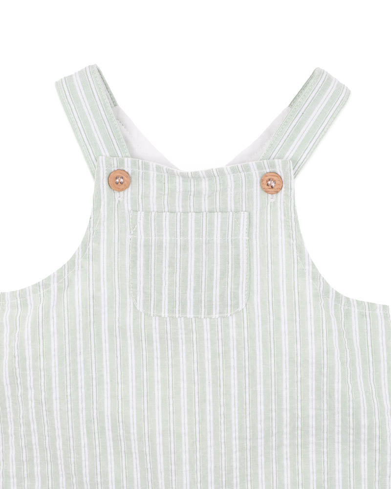 Bebe Evan Green Stripe Overalls