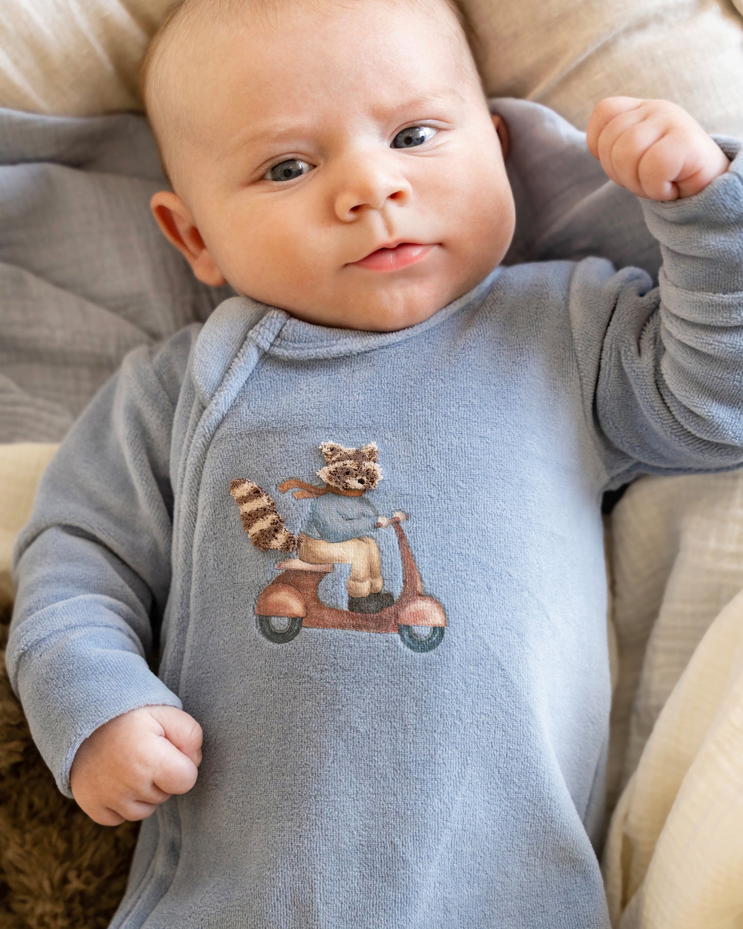 Bebe Alvin Velour Zip Onesie - Dusky Blue