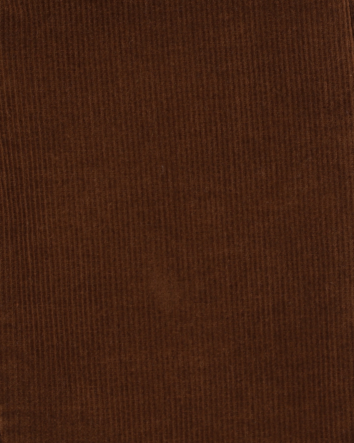 Bebe Jake Pull on Pants - Tan