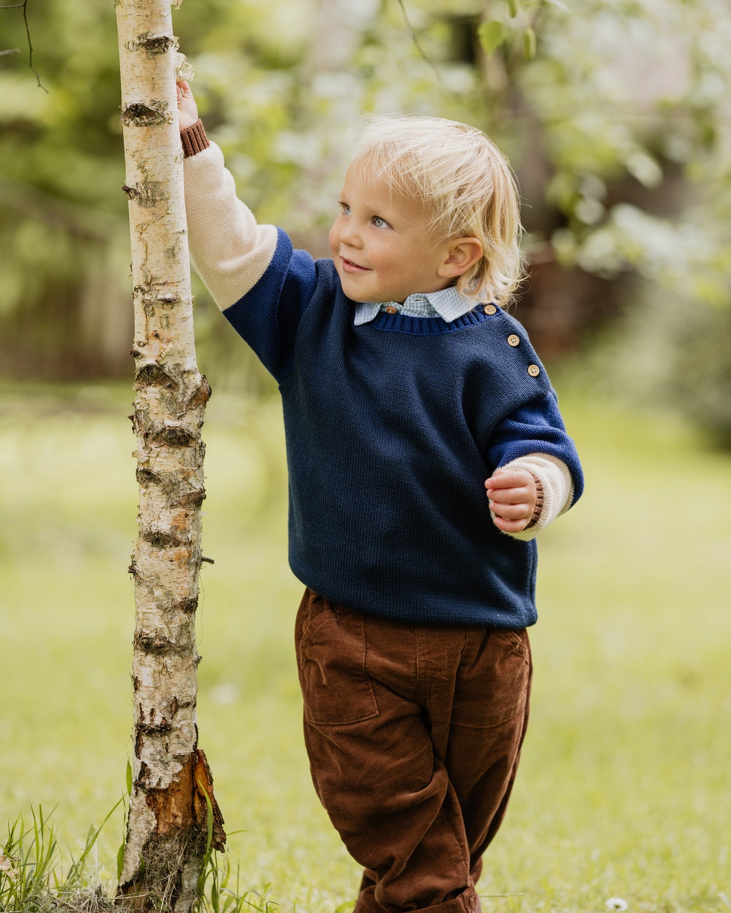Bebe Jake Pull on Pants - Tan