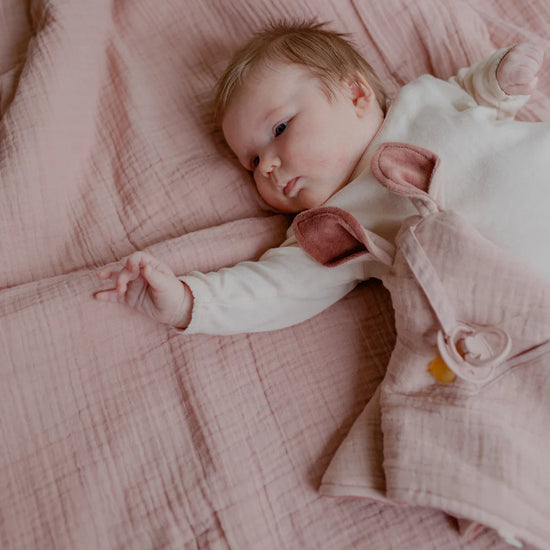 Bibs Cuddle Cloth - Blush