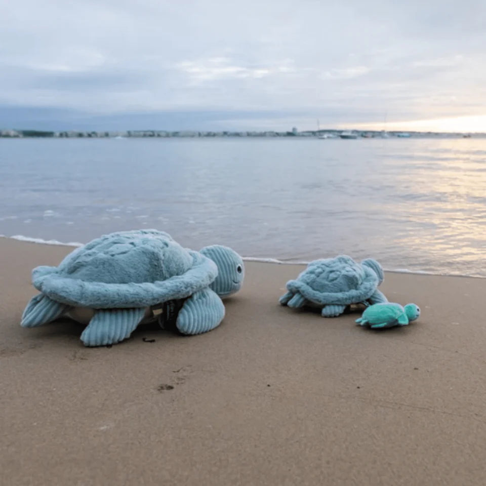 Les Ptipotos Sauvenout the Turtle, Mum & Baby - Mint
