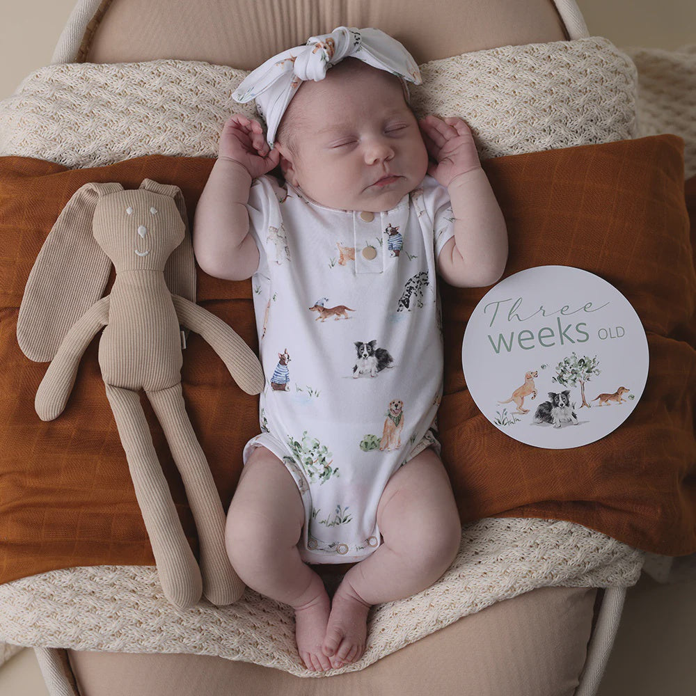 Snuggle Hunny Dog Park Short Sleeve Organic Bodysuit