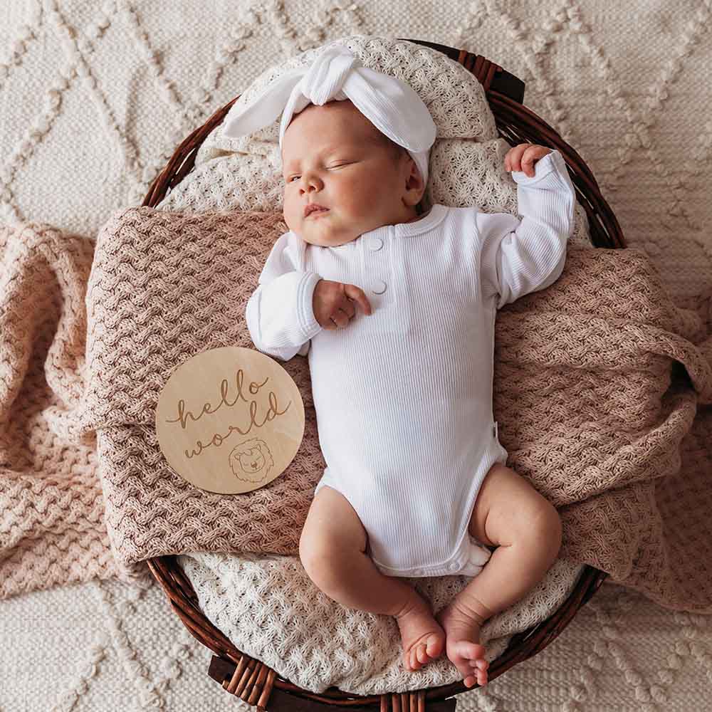 Snuggle Hunny Lion Wooden Milestone Cards